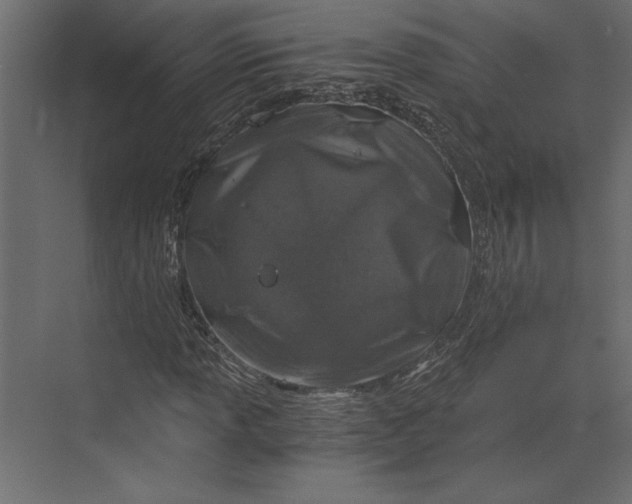 X0000073431013200608181141