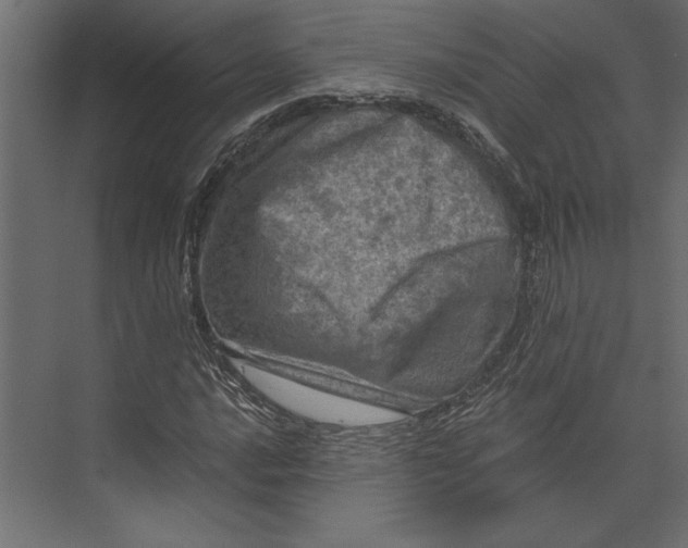 X0000073431016200608181141