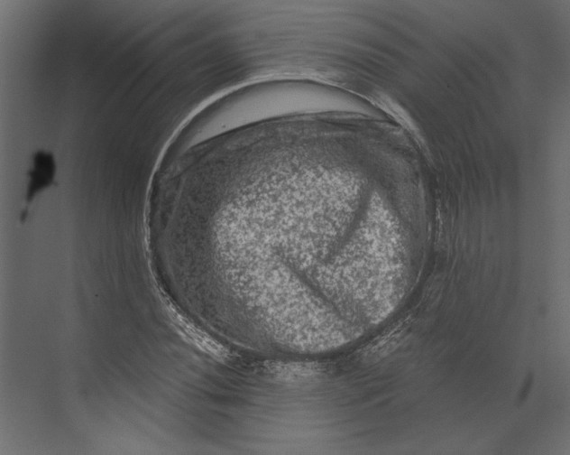 X0000073431020200608181141
