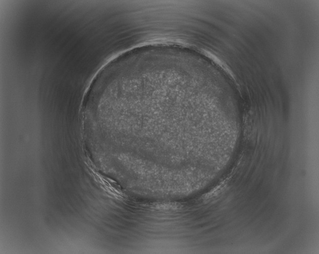 X0000073431021200608181141
