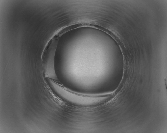 X0000073431022200608181141