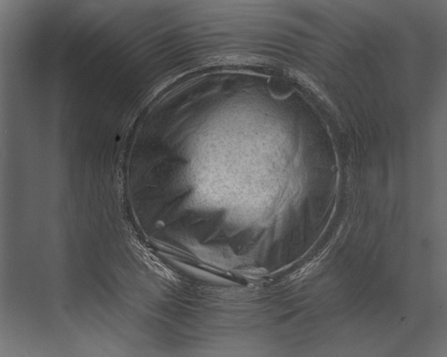 X0000073431025200608181141