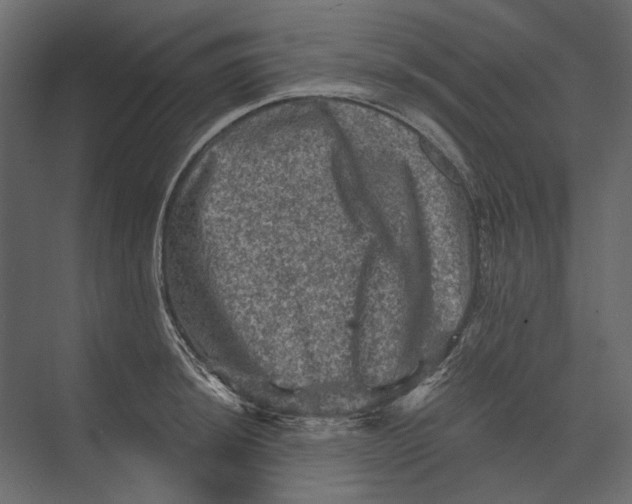 X0000073431044200608181142