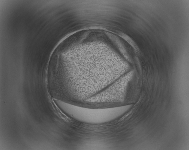 X0000073431052200608181142