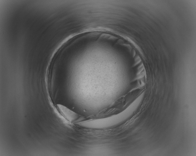 X0000073431054200608181142