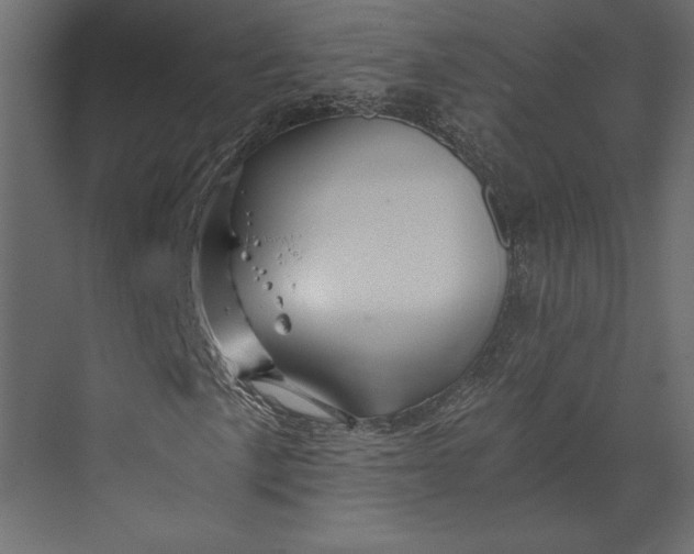 X0000073431057200608181141