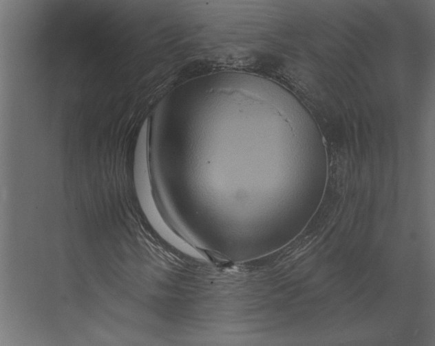 X0000073431058200608181141