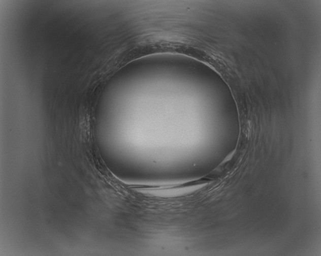 X0000073431061200608181141