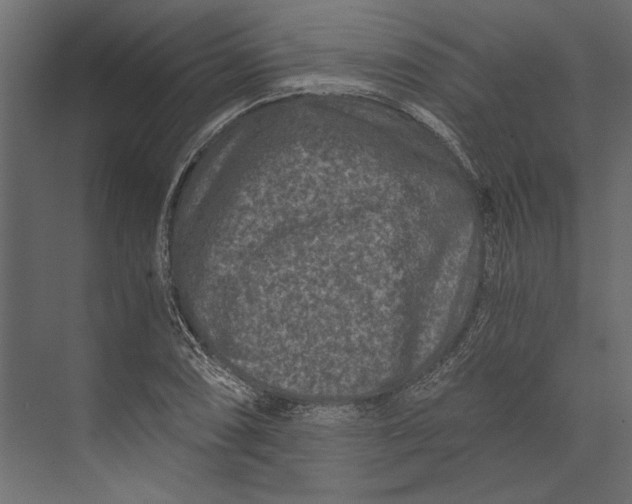X0000073431074200608181141