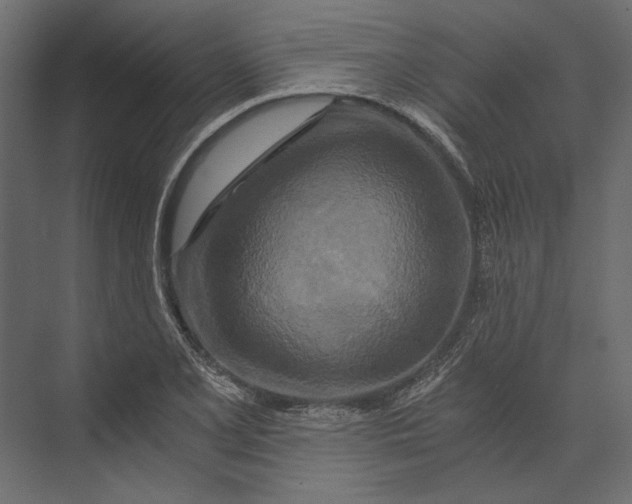 X0000073431077200608181141