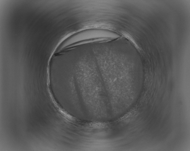 X0000073431079200608181141