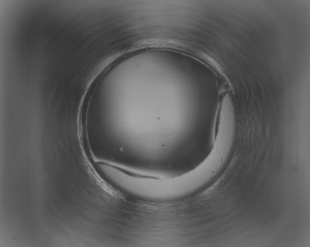 X0000073431082200608181141