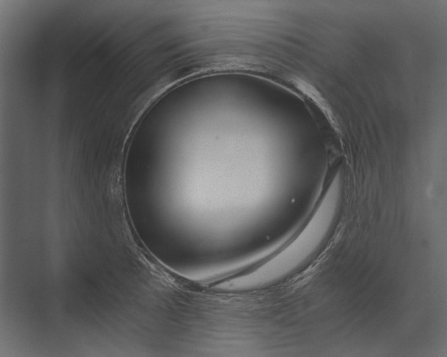 X0000073431089200608181141