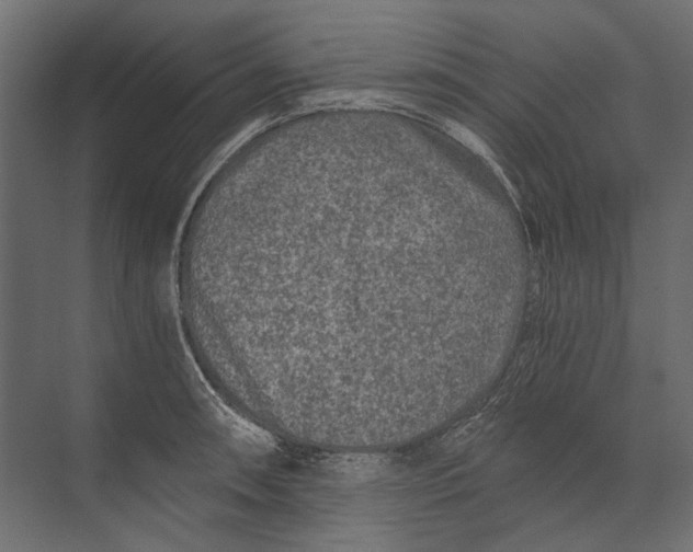 X0000073431090200608181140