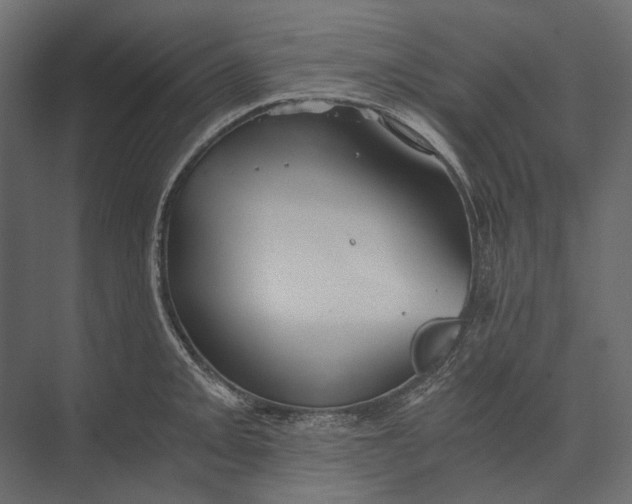 X0000073431093200608181140