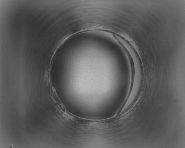 X0000073431097200608181140