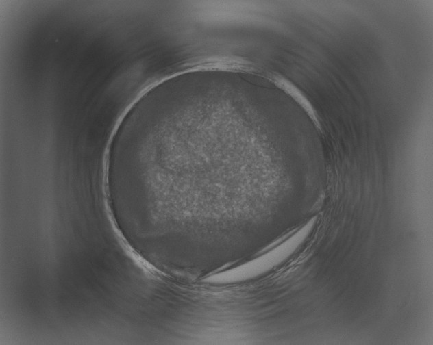 X0000073431099200608181140