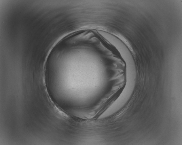 X0000073431102200608181140