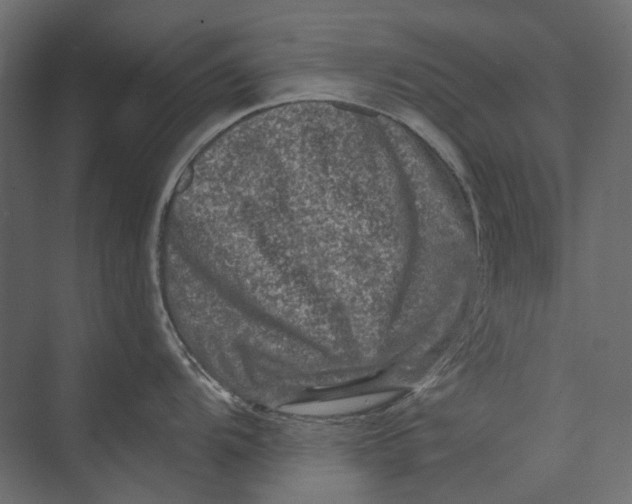 X0000073431104200608181140