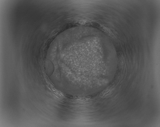 X0000073431105200608181139