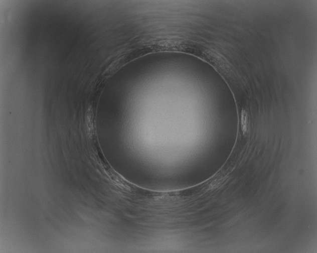 X0000073431107200608181139