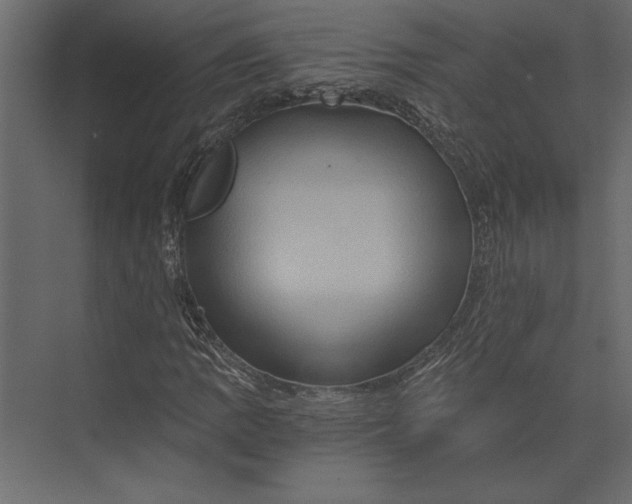X0000073431109200608181140