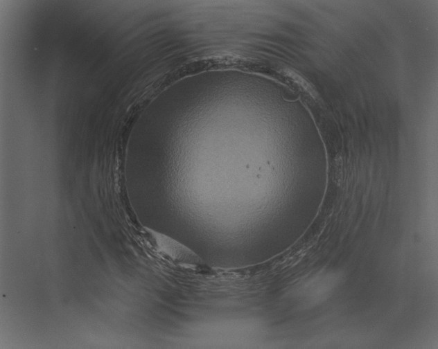X0000073431111200608181140