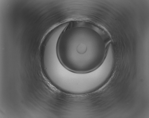 X0000073431114200608181140