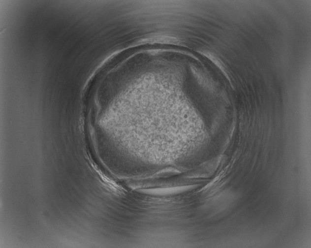 X0000073431115200608181140