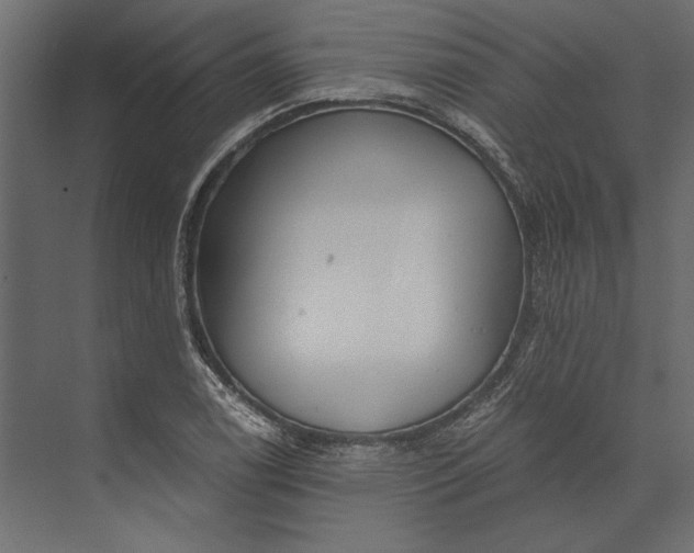 X0000073431122200608181140