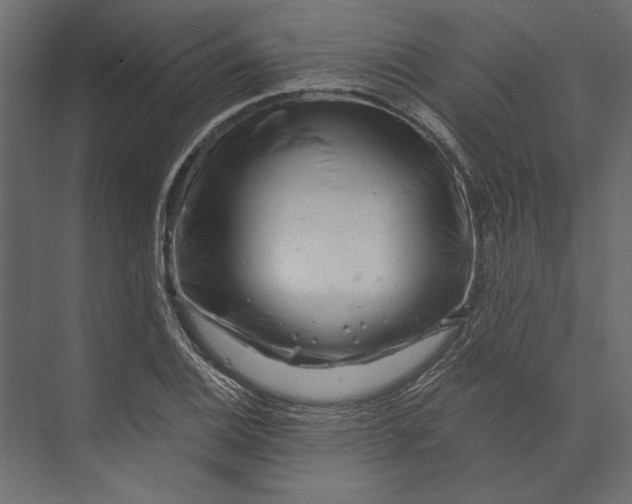 X0000073431124200608181140