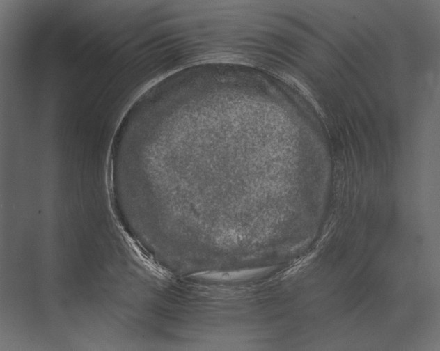 X0000073431125200608181140