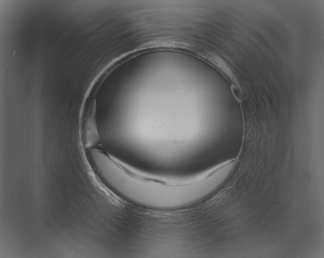 X0000073431132200608181140