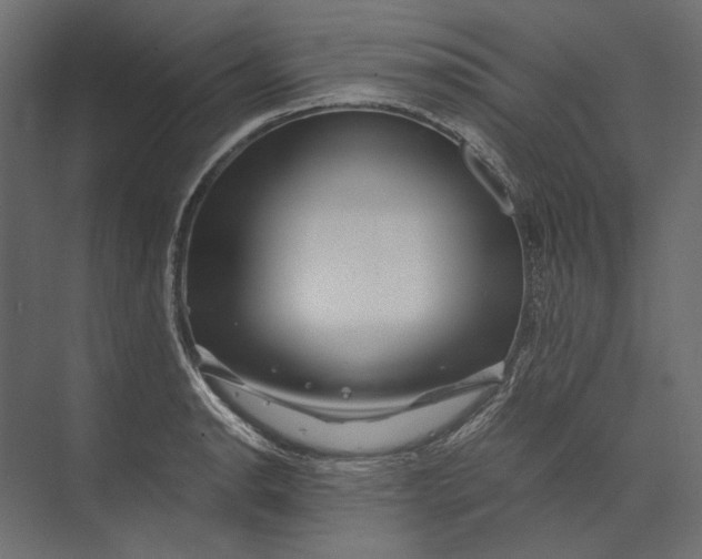 X0000073431134200608181140