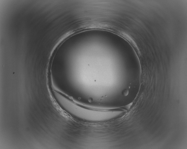 X0000073431138200608181140