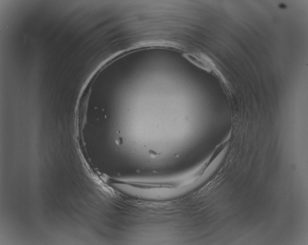 X0000073431140200608181140