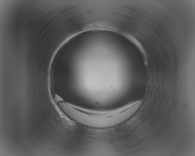 X0000073431144200608181140