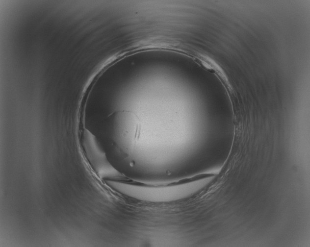 X0000073431146200608181140