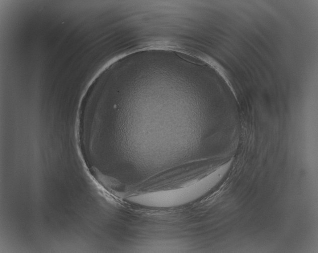 X0000073431147200608181140