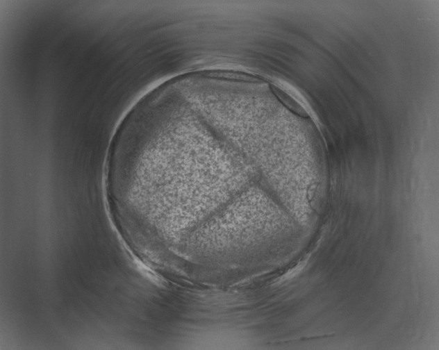 X0000073431149200608181140
