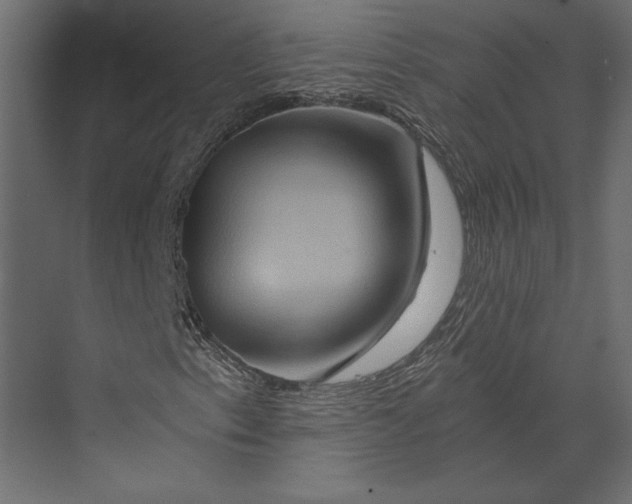X0000073431153200608181139