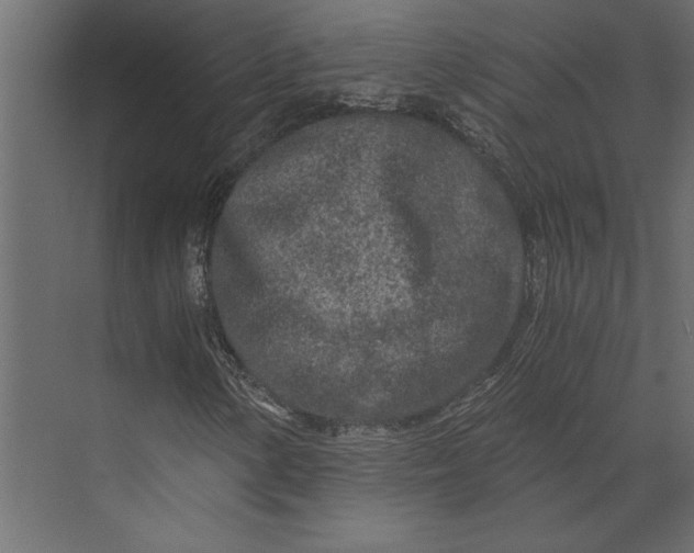 X0000073431154200608181139