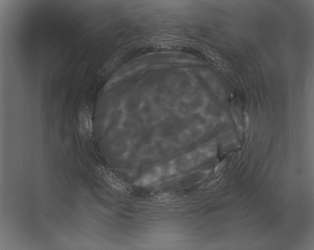 X0000073431155200608181139