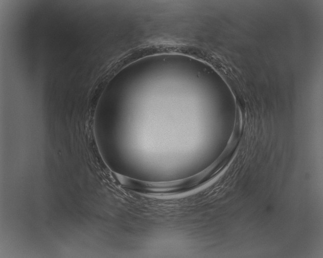 X0000073431157200608181139