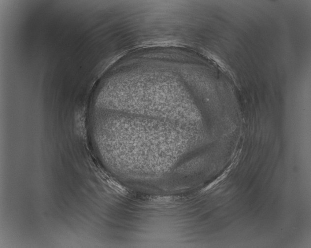 X0000073431162200608181139