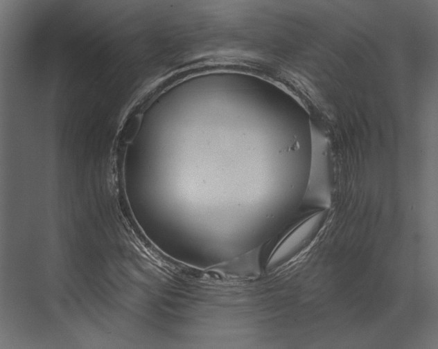 X0000073431164200608181139