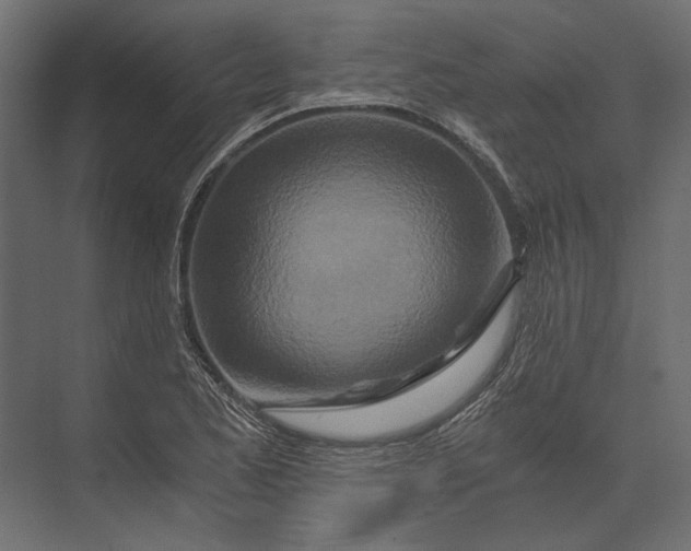 X0000073431173200608181139