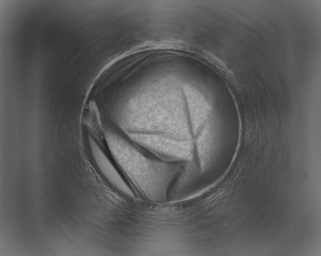 X0000073431174200608181139