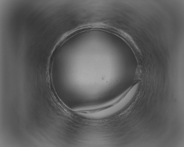 X0000073431176200608181139