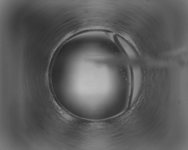 X0000073431181200608181139